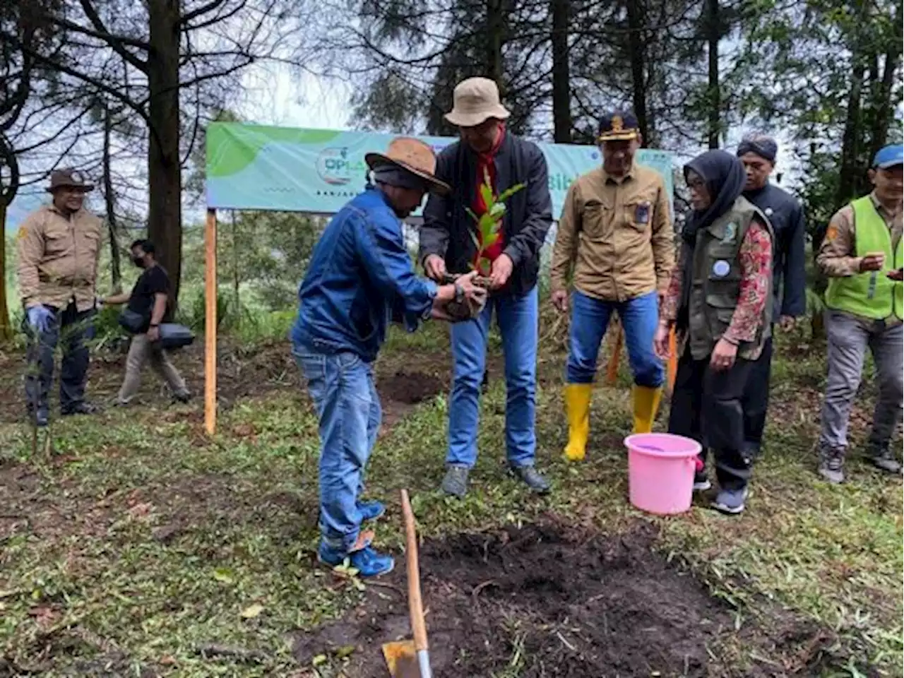 Pemkab Banjarnegara Berkolaborasi dengan Program Upland untuk Integrasi Domba dan Kopi