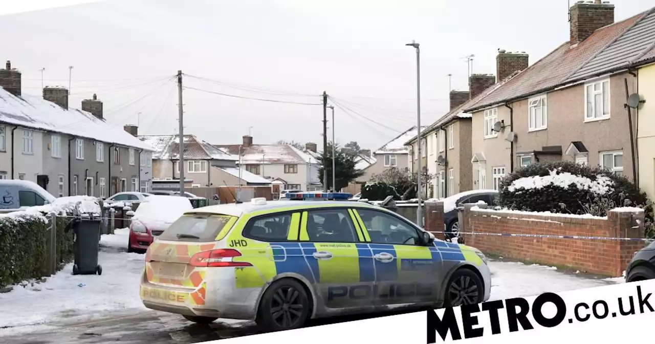 Neighbour 'heard screaming' on street where two boys were found dead