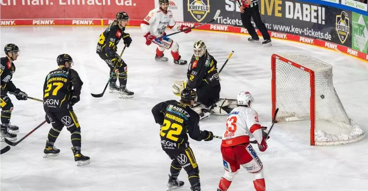 Regensburger Eisbären kämpfen in Krefeld vergeblich