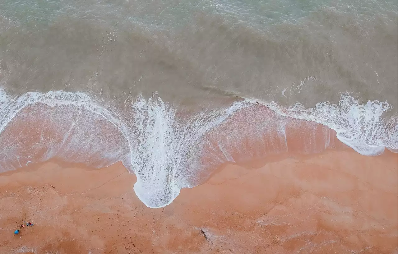 This rare 'Finding Nemo' fish mysteriously washed up on a California beach