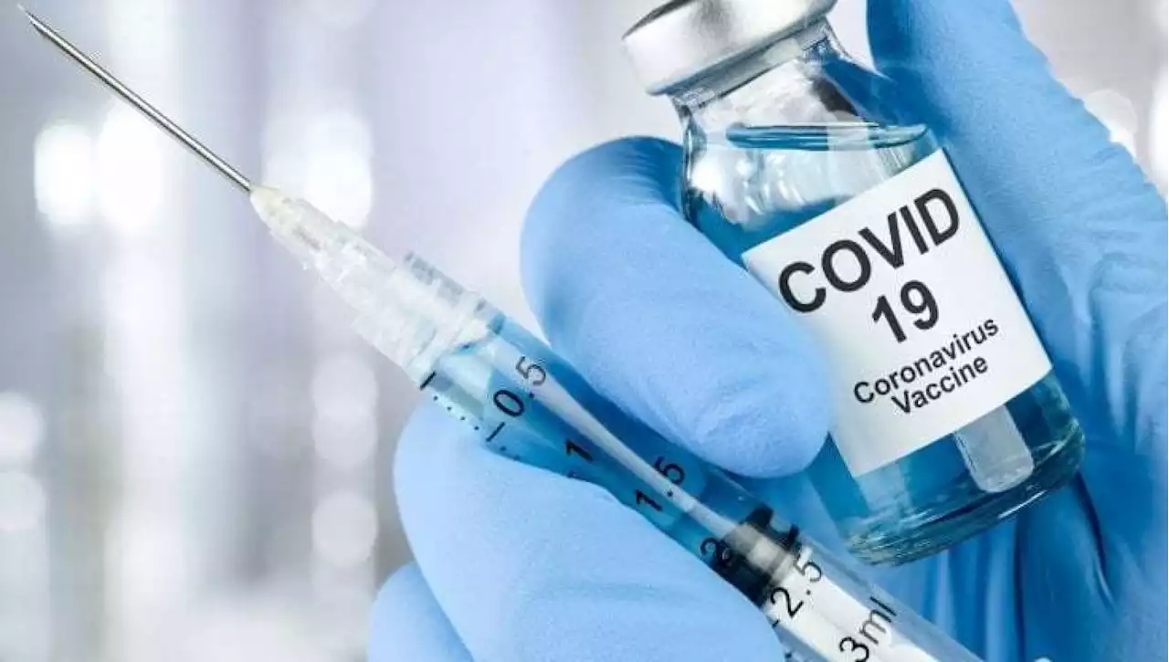 Covid, il report dell'Iss: mortalità oltre 5 volte più alta per i non vaccinati over 60