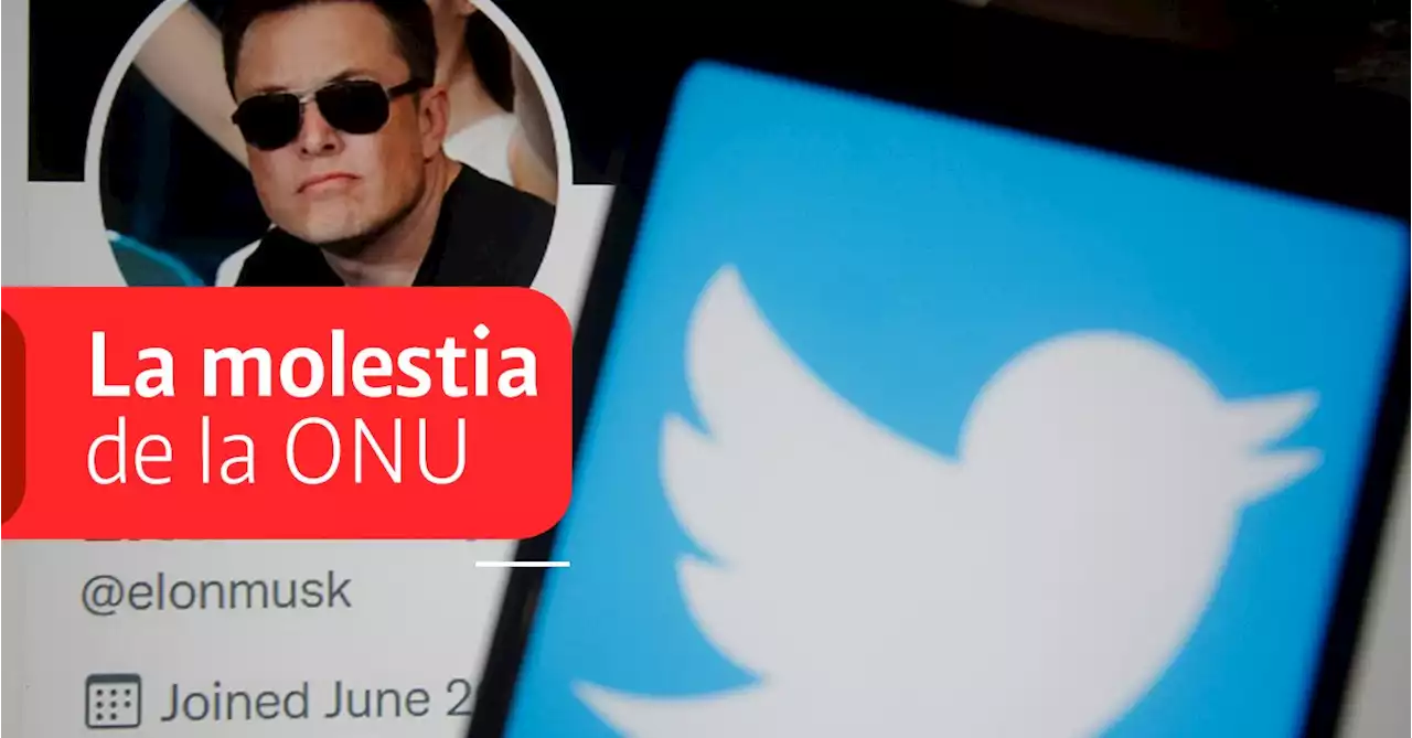 La ONU y su molestia con Elon Musk por cerrarles el Twitter a periodistas