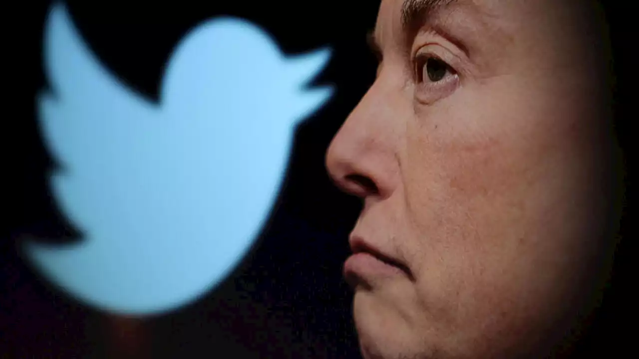 Twitter: Elon Musk indique qu'il va rétablir les comptes suspendus de journalistes