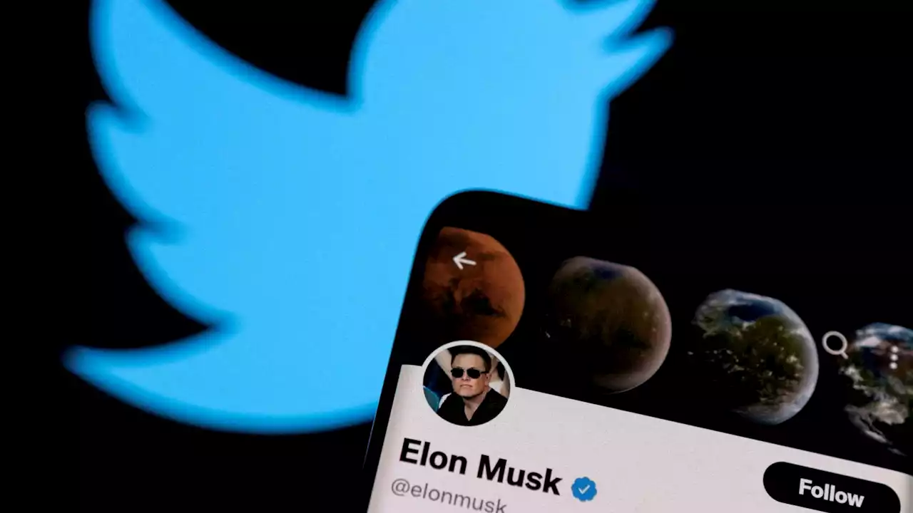 Musk restablece en Twitter las cuentas de los periodistas suspendidas