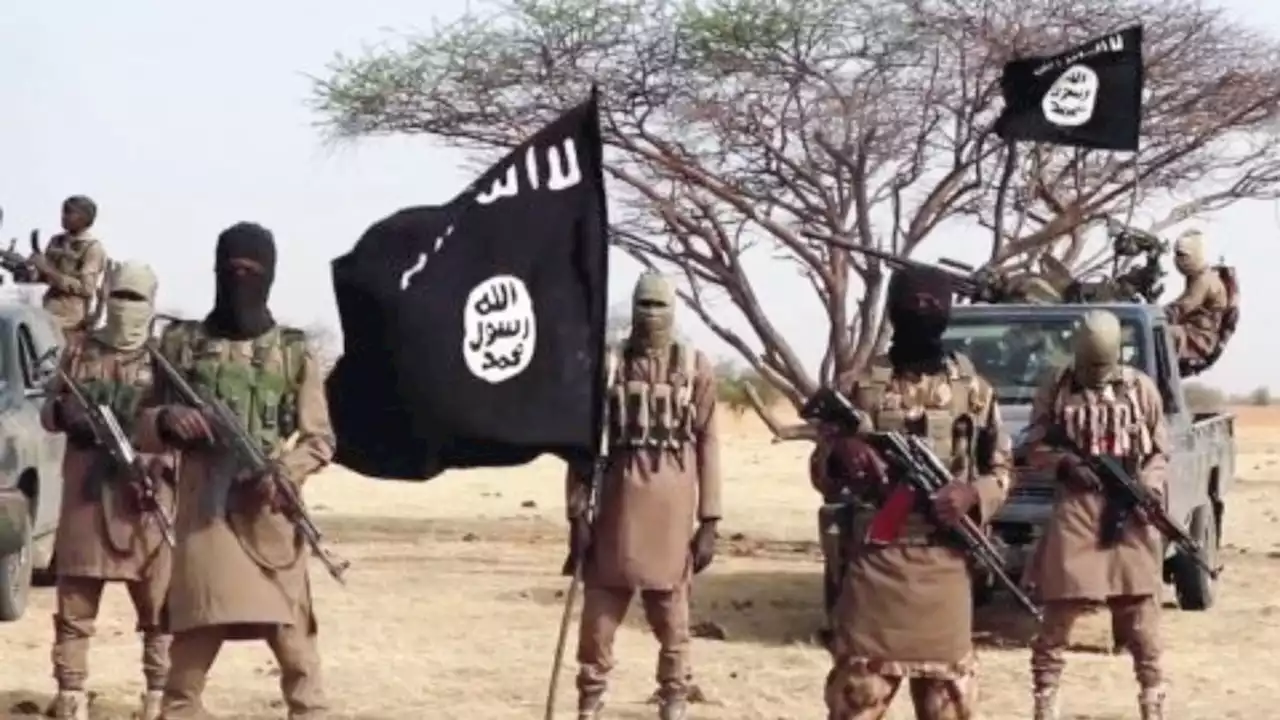 Four Boko Haram Commanders Surrender To Nigerian Army In Borno After Years In Sambisa Forest | Sahara Reporters