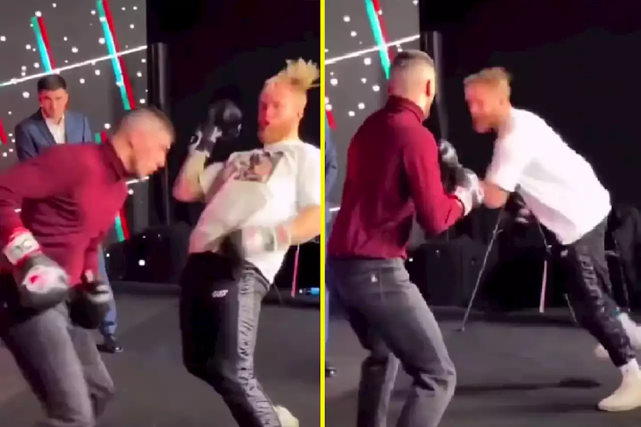 Fake video goes viral of 'Jake Paul' getting rocked, but it's not actually him