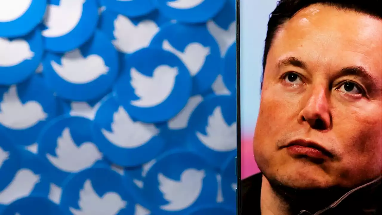 Elon Musk Lifts Twitter Suspensions: ‘The People Have Spoken’