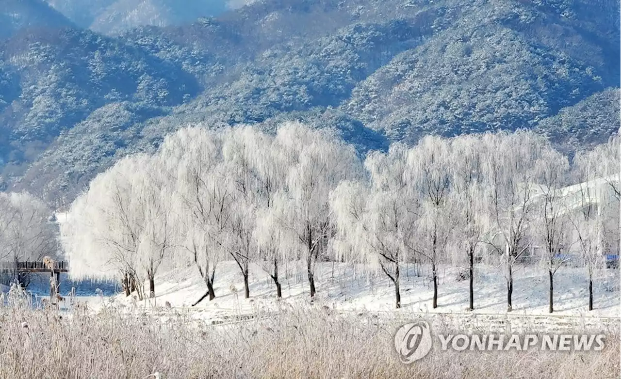 인천·충청·전라권 대설주의보…중대본 1단계 가동 | 연합뉴스