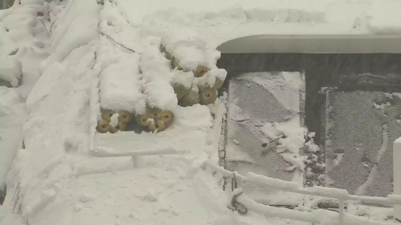 [날씨] 오늘 서해안 눈 폭탄, 피해 우려...내일 한파 절정, 서울 -13℃