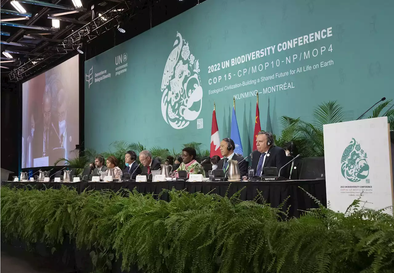 Governments move closer to deal at biodiversity conference