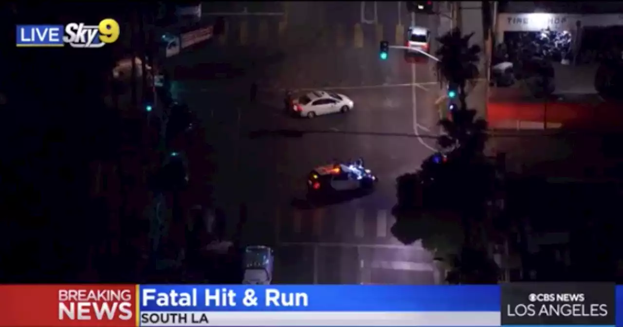 Pedestrian killed in South Los Angeles hit-and-run