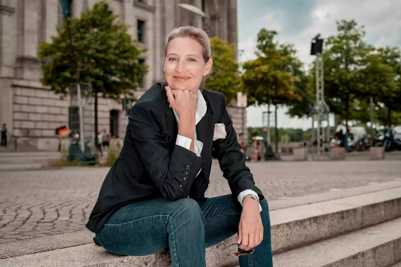 Alice Weidel: Abschiebebeauftragter Stamp steht in der Massenmigrations-Ampel auf verlorenem Posten --- (Cityreport24-Nachrichtenblog)