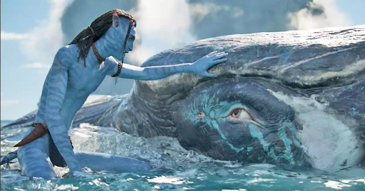 Avatar: The Way of Water Runtime: James Cameron Talks 'Tension' to Cut Down Sequel