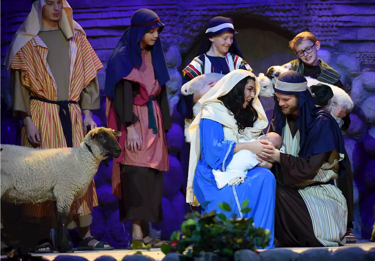 Baby Jesus -- along with live animals -- create a buzzworthy Christmas performance