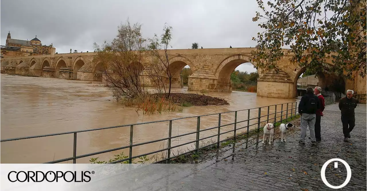 De la sequía al diciembre más húmedo desde 2010: así ha llovido en Córdoba