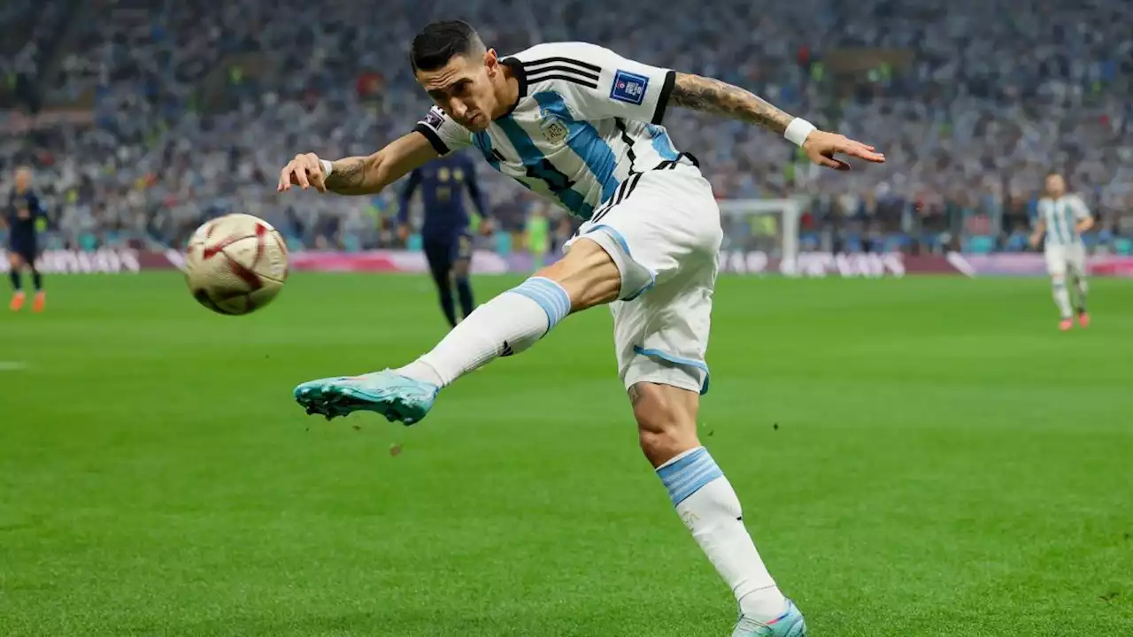 Coupe du Monde 2022 : les Argentins savourent leur sacre mondial