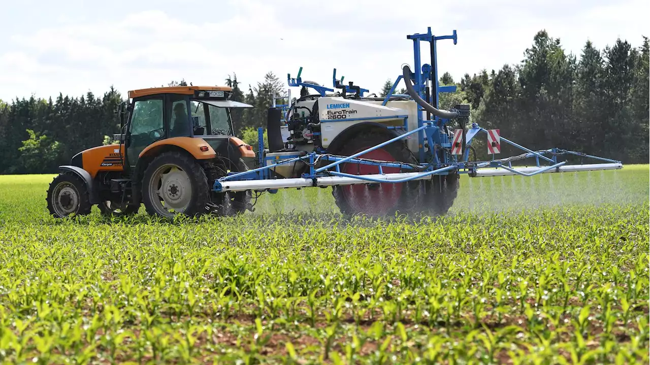 A la COP15 biodiversité, l'Union européenne très isolée sur la réduction des pesticides