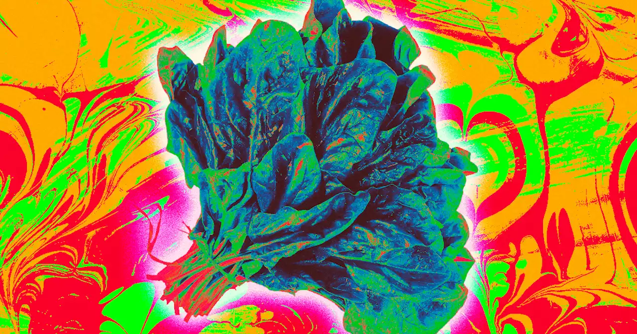 Grocery Stores Alarmed by Spinach Giving Dozens of Customers Hallucinogenic Trips