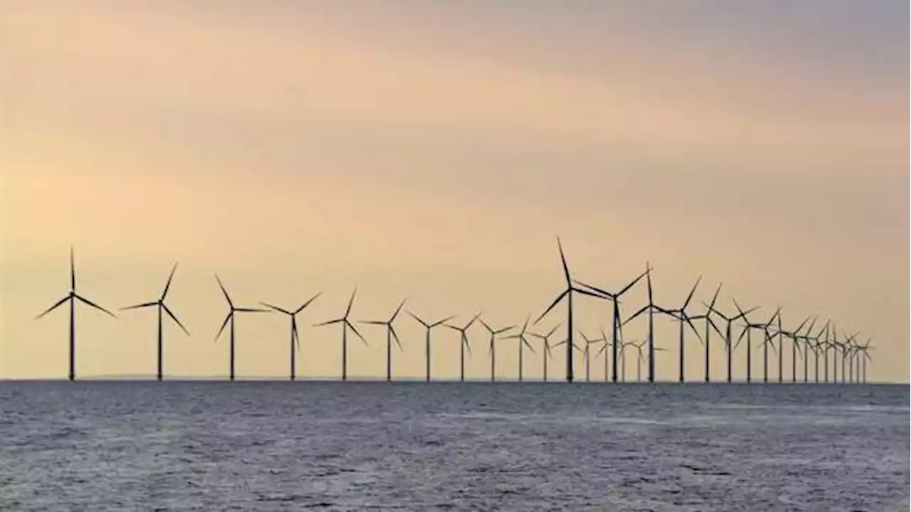 Erneuerbare Energien: Ausbau der Offshore-Windkraft: Briten kooperieren wieder mit der EU