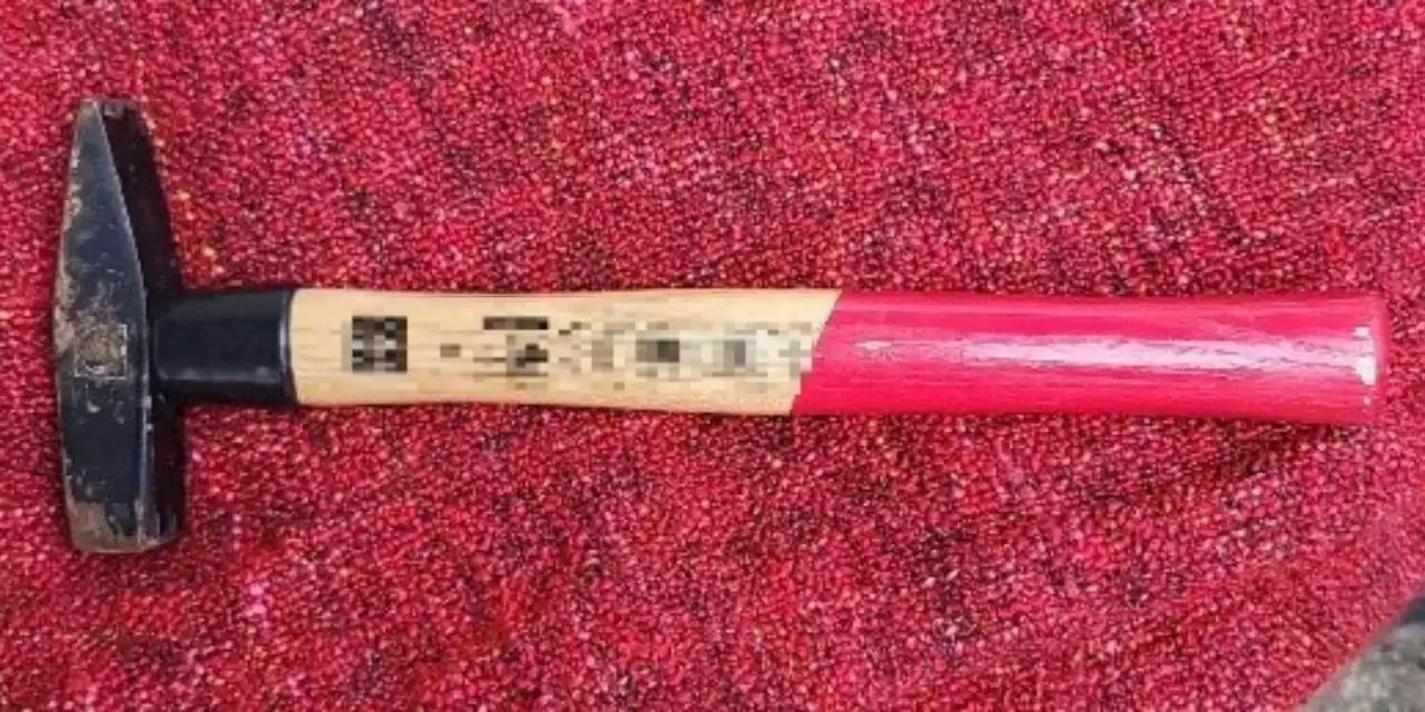 Sohn (31) geht in Wien mit Hammer auf Mutter los