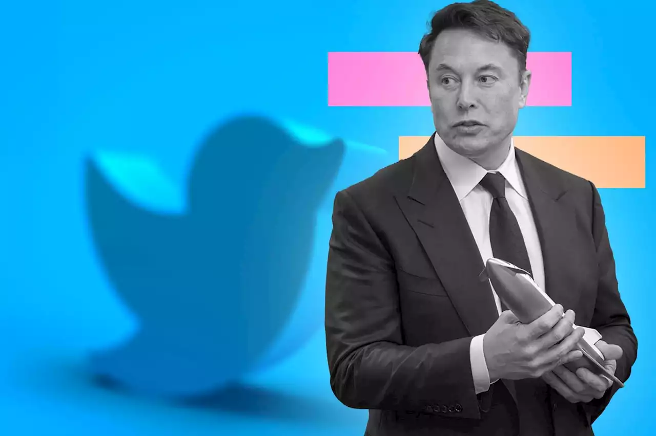 Elon Musk veut la liberté d'expression, mais censure Twitter