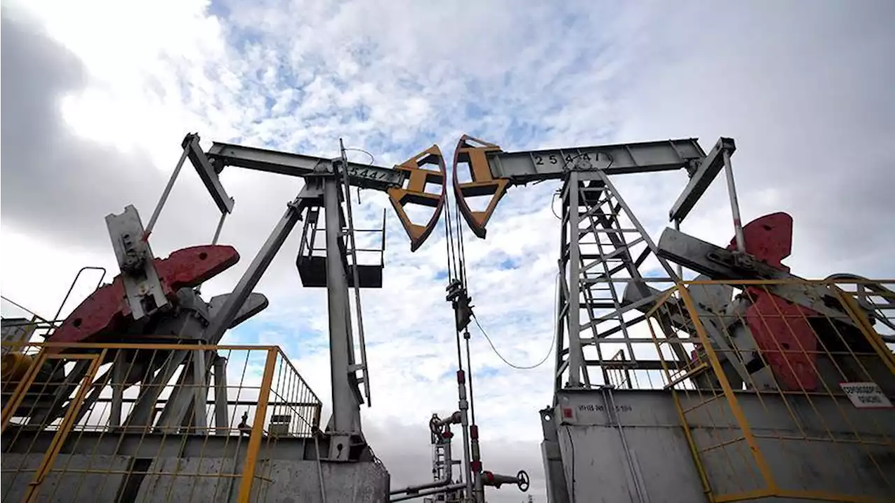 В США назвали последствия потолка цен на российскую нефть для ЕС