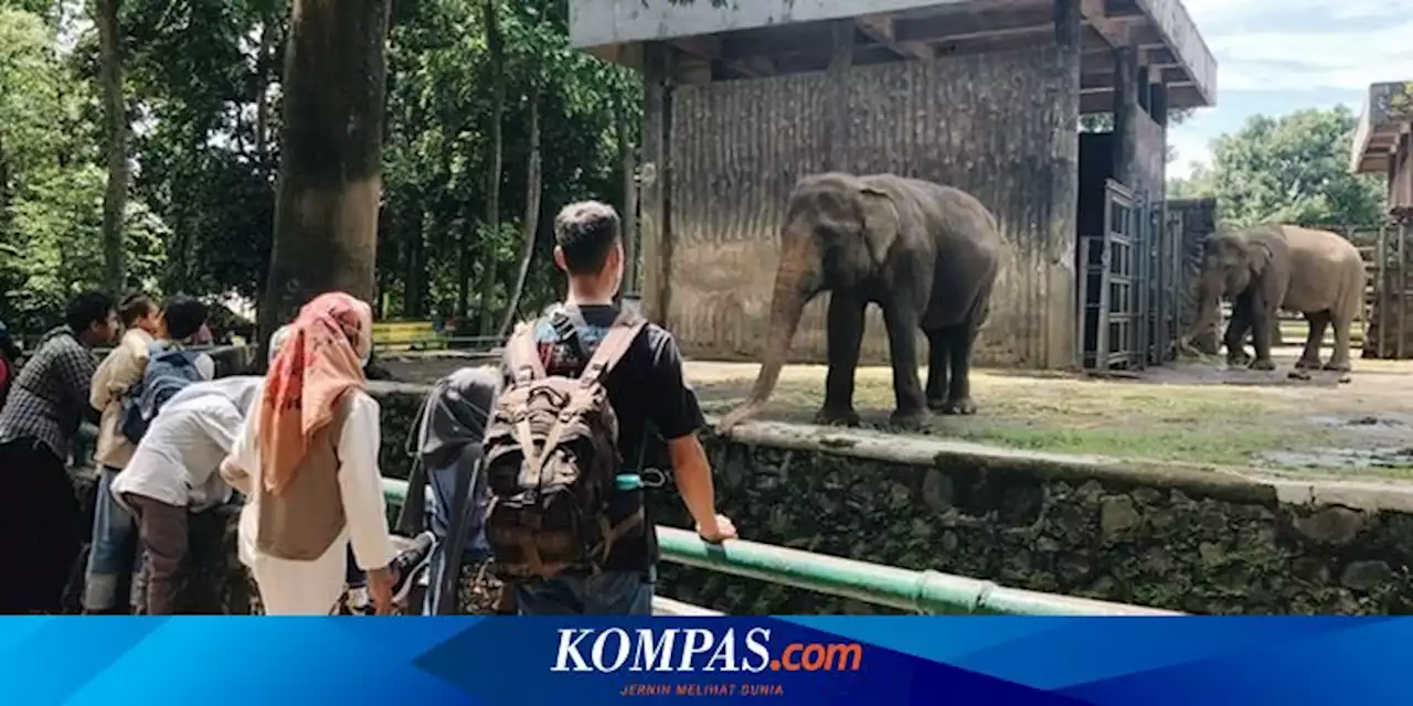 Harga Tiket dan Cara Masuk Kebun Binatang Ragunan dan TMII