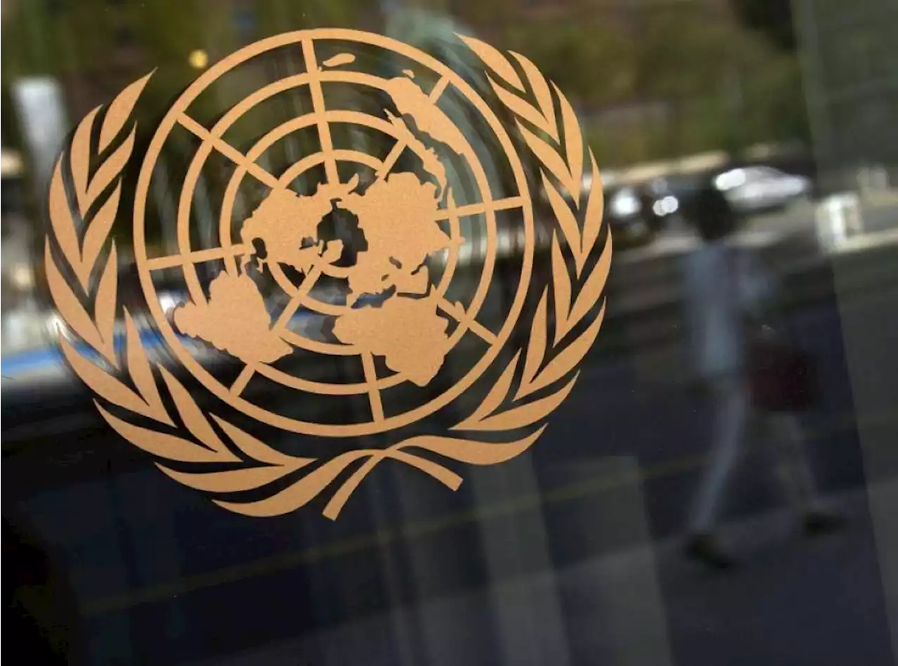 UN deal calls for US$20b international biodiversity aid, according to draft