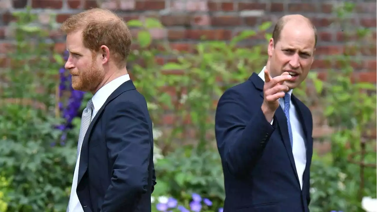 Friends Say Prince William Has No Plans to Speak to Prince Harry Anytime Soon