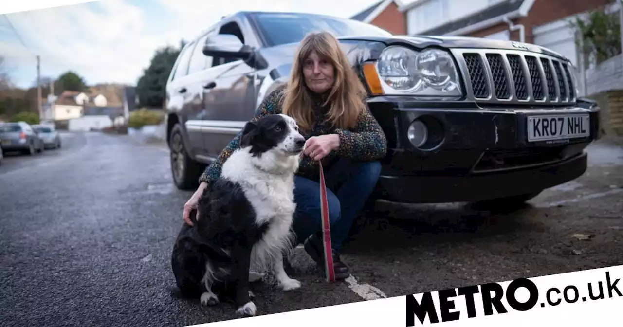 Border collie who crashed Jeep into parked car still a ‘very good dog’