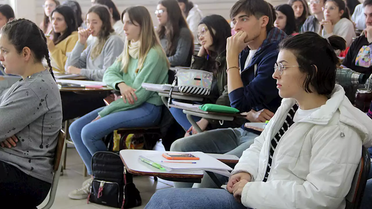 El oficio de estudiar tiene sus dificultades | Problemáticas del alumnado en el ingreso a la educación superior