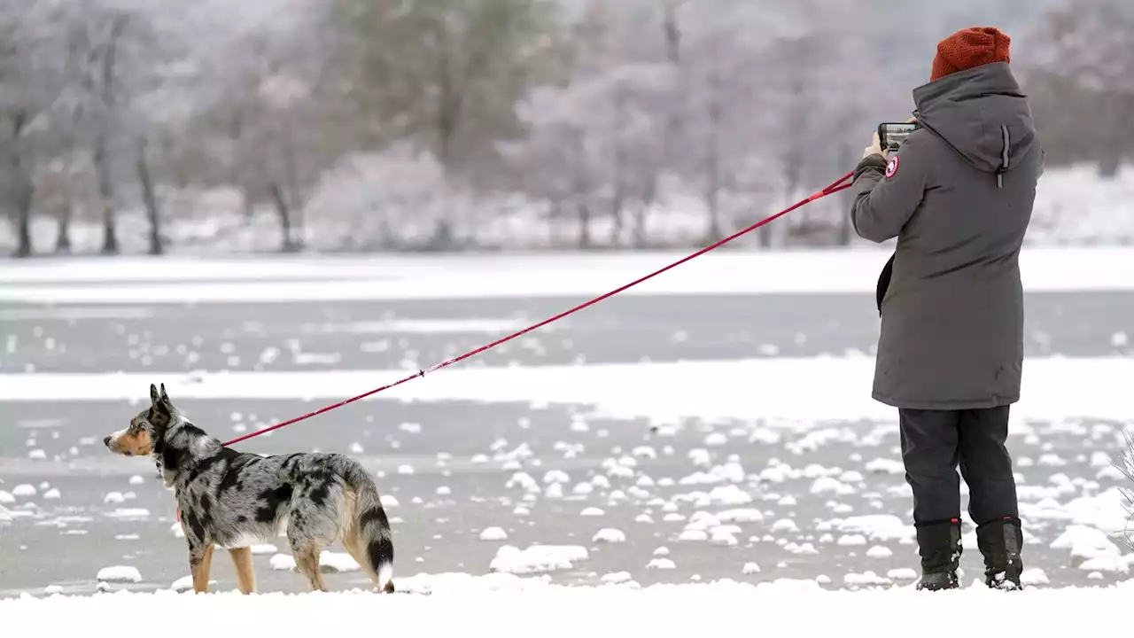 'Do not do this': Fire chiefs warn public to steer clear of frozen ponds after death of children