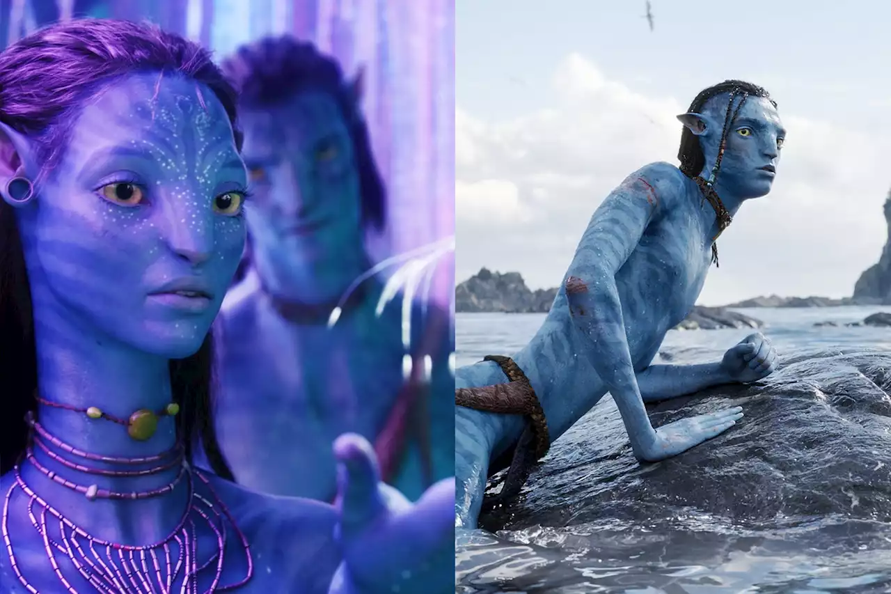 If You Forgot What Happened in Avatar, We Have Good News for You