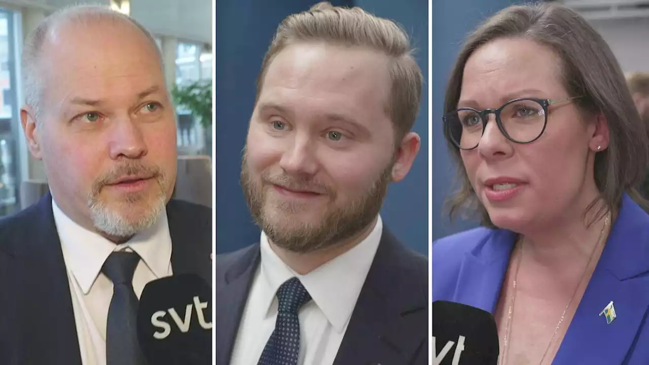 Svenskar uppmanas spara el – hur varmt är det i politikernas hem?