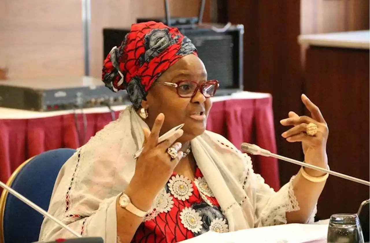 PenCom DG Rebukes Frivolous Petitioners, Blackmailers – THISDAYLIVE