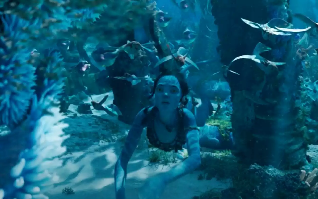 Avatar: El Camino del Agua | Disney lanzó campaña para proteger a especies marinas | Tomatazos