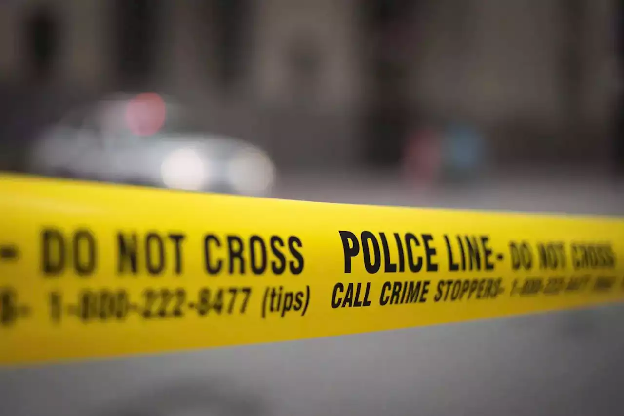 Man killed in overnight downtown Toronto stabbing