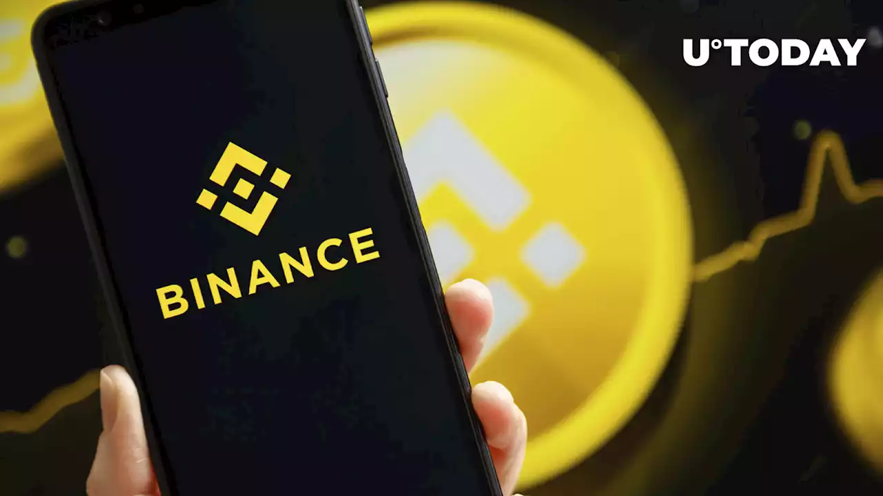 BNB Becomes Most Active Blockchain in Last 24 Hours Despite Binance FUD