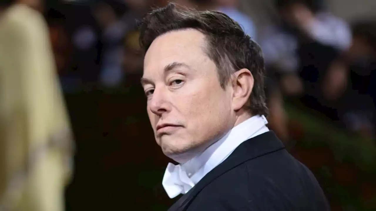 Elon Musk Suspends Washington Post’s Taylor Lorenz From Twitter After She Asked Him for Comment on a Story