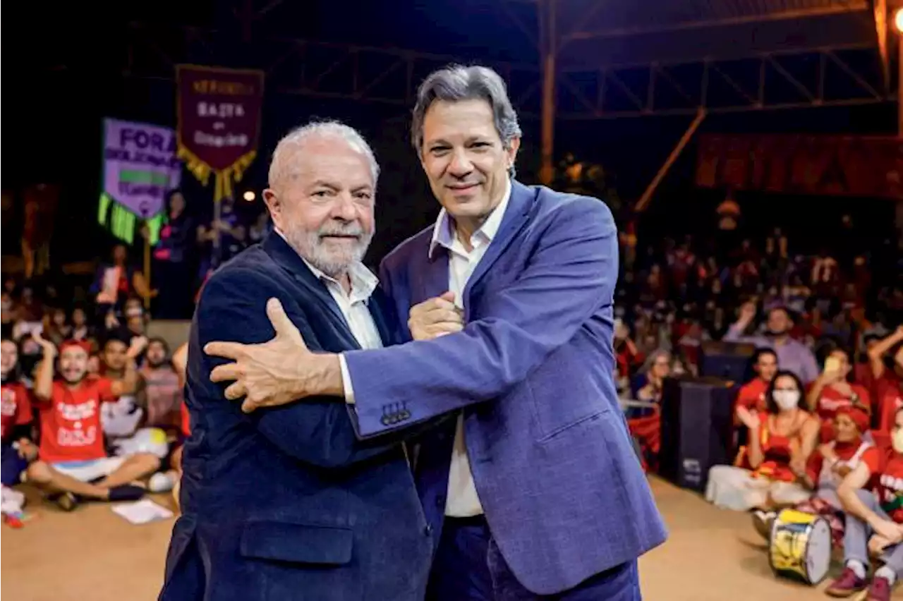 A maratona particular de Fernando Haddad até 2026