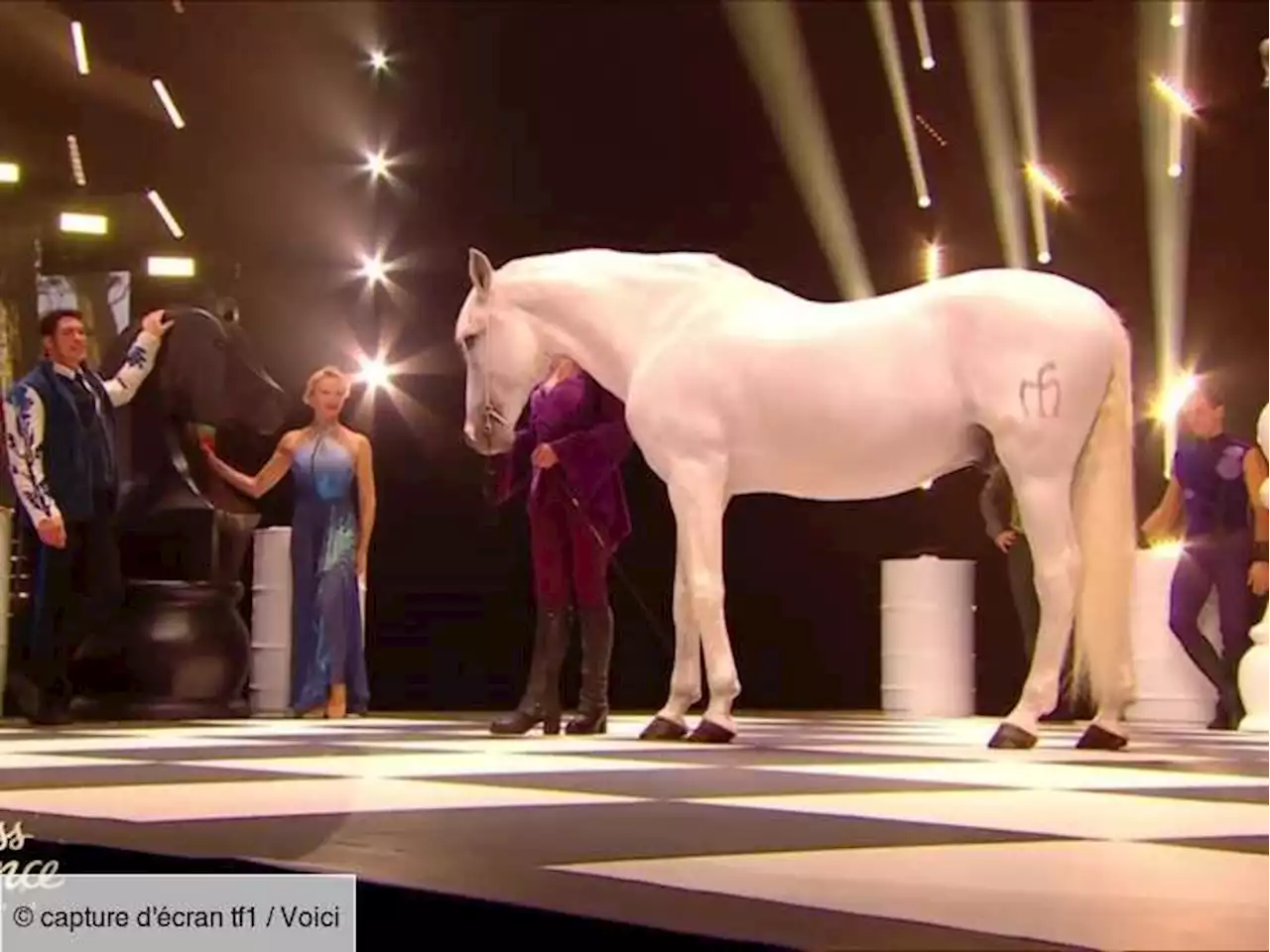 Miss France 2023 : un cheval fait polémique sur scène, les internautes furieux - Voici