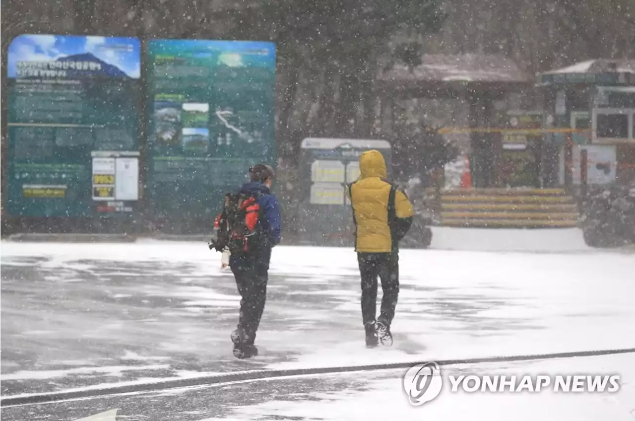 한라산에 31.6㎝ 눈…제주 일부 산간도로 통제·항공편 차질 | 연합뉴스