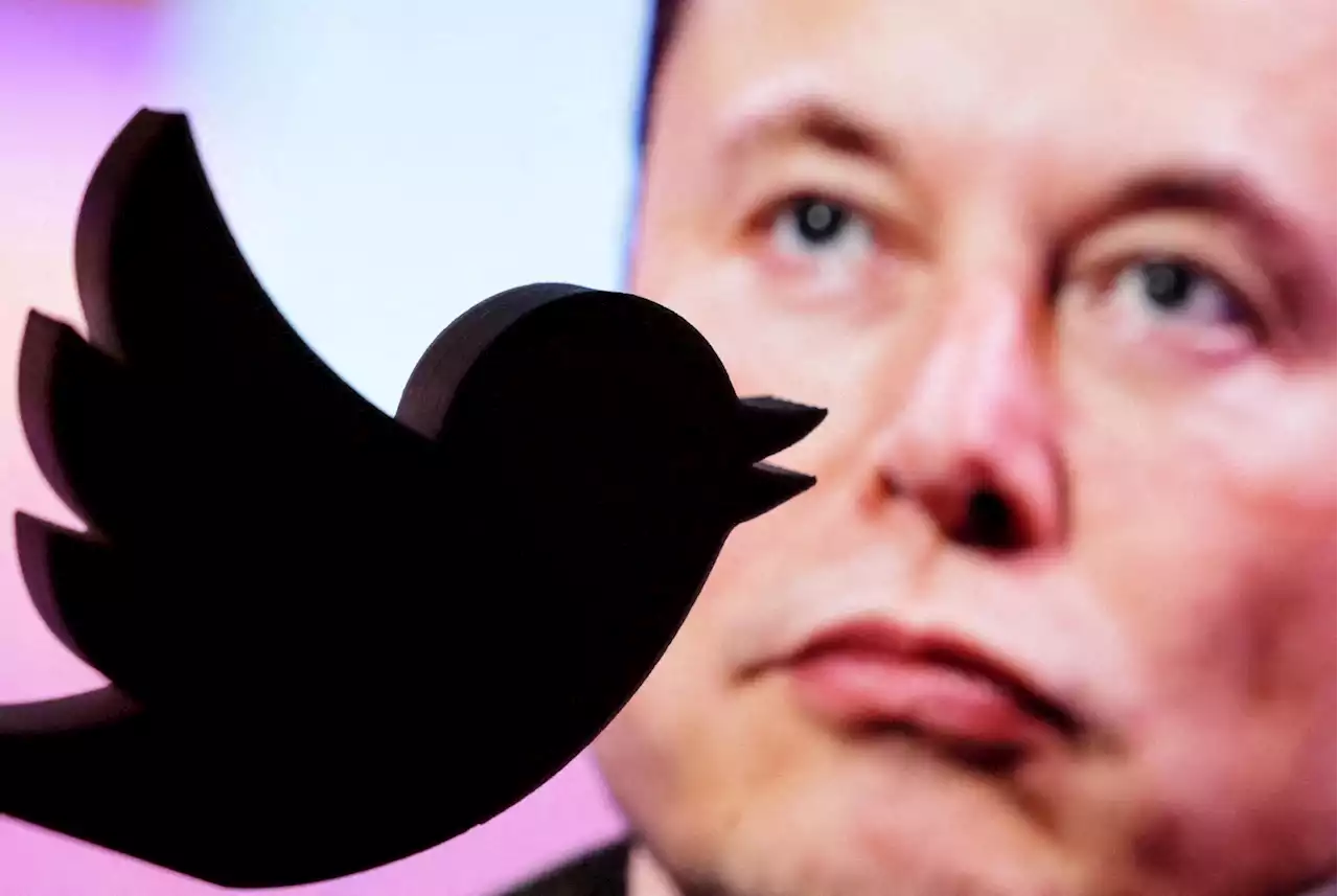 Twitter-User wählen Elon Musk ab – wie geht es jetzt mit Twitter weiter?