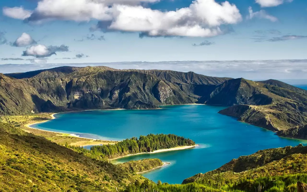 Países acuerdan proteger 30% del planeta para preservar biodiversidad