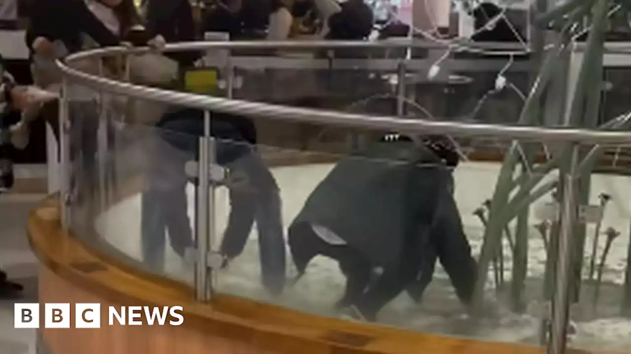 Nottingham Victoria Centre: Men jump into fountain to steal donations