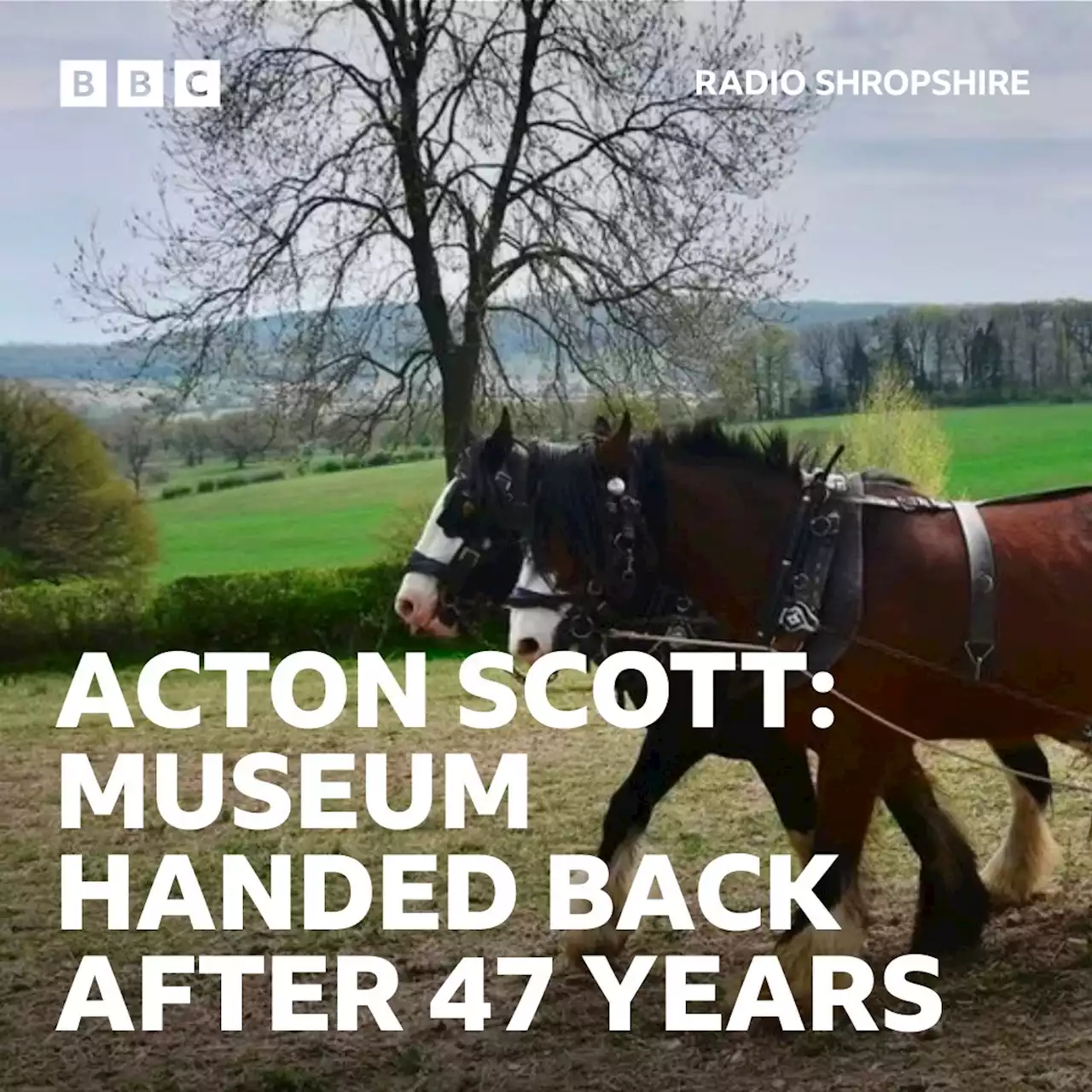 Acton Scott Historic Working Farm handed back to estate after 47 years