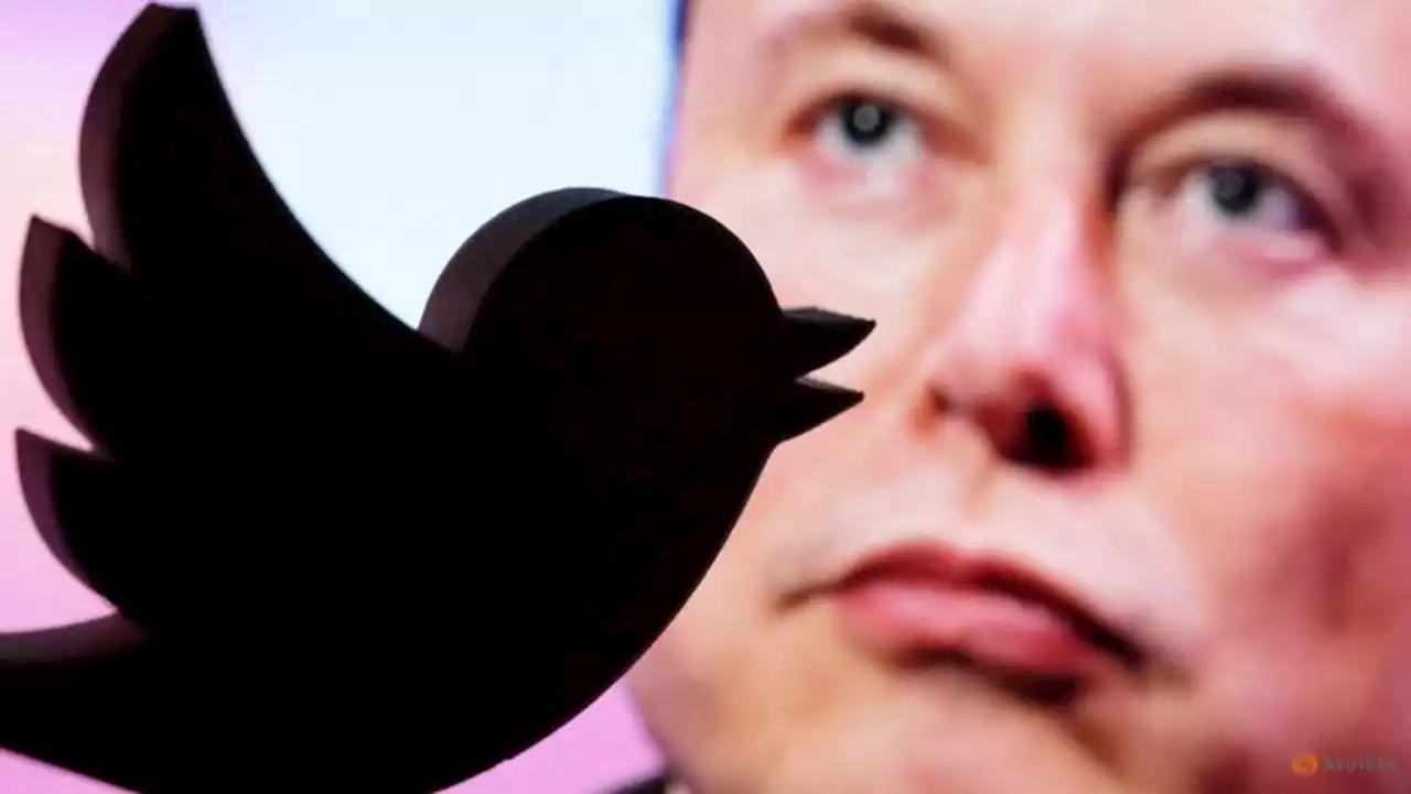 Musk launches poll on whether he should quit as Twitter CEO