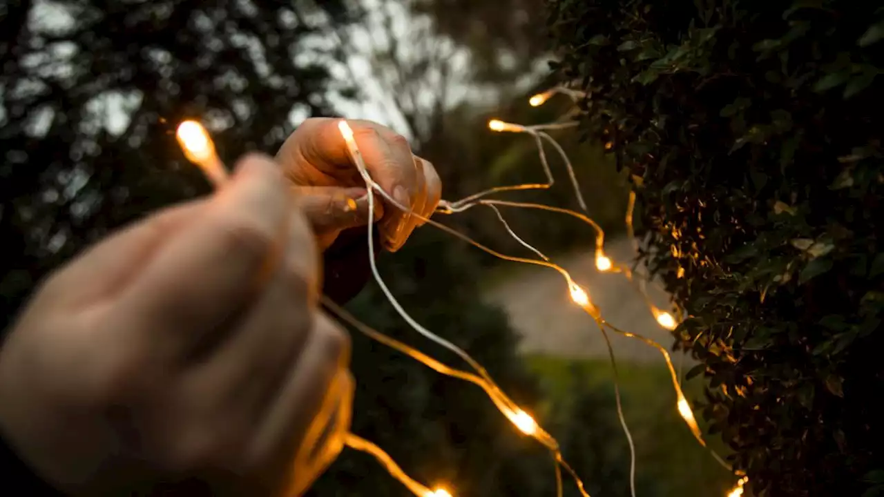 Warum Sie eine kaputte Glühbirne in der Lichterkette austauschen sollten