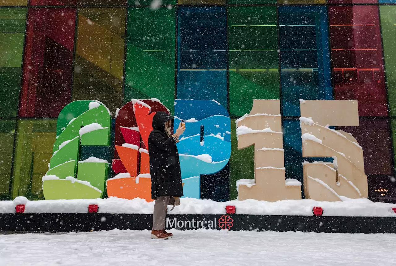 COP15 : voici ce qu'il faut retenir de l'accord historique sur la biodiversité adopté à Montréal