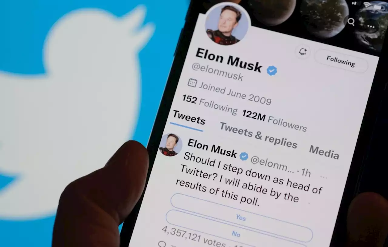 Twitter : Elon Musk demande dans un sondage s’il doit rester, les utilisateurs répondent non